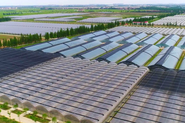 1609117897679445.jpg 市政公用生態(tài)農業(yè)示范園南新生態(tài)園工程600400PX.jpg