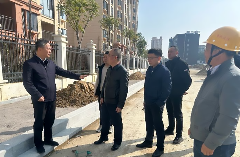 青山湖區(qū)黨委副書記、區(qū)長楊育星到利民路項目調(diào)研