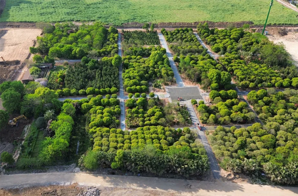 南昌九洲公園稻香園及植物園項目沖刺:農旅融合打造生態(tài)文旅新地標 南昌九洲公園稻香園及植物園項目沖刺:農旅融合打造生態(tài)文旅新地標